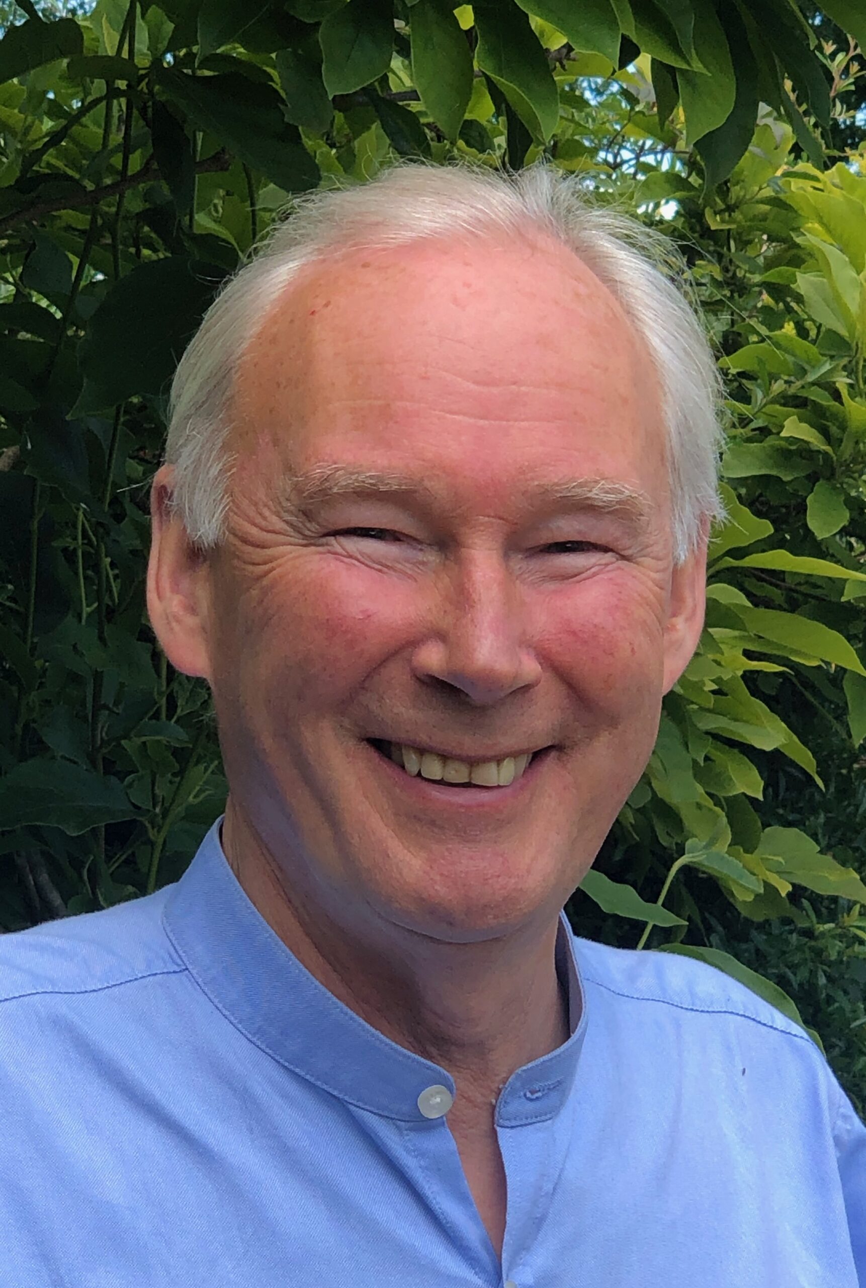 Prof David A Wood